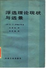 浮选理论现状与远景
