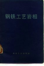 钢铁工艺岩相