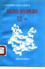 惊险的跳跃 云南民族地区商品经济研究