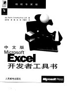 中文版Microsoft Excel开发者工具书 微软专家版
