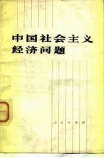 中国社会主义经济问题 第2版