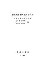 中国新能源的开发与利用