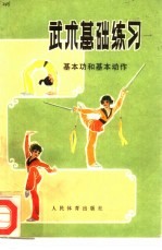 武术基础练习 基本功和基本动作
