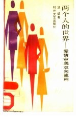 两个人的世界 爱情审美双向流程
