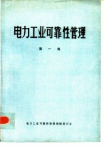 电力工业可靠性管理 第1集
