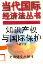 知识产权与国际保护