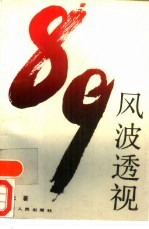 89风波透视