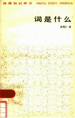 词是什么