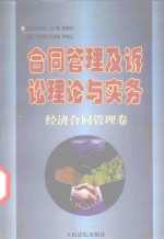 合同管理及诉讼理论与实务丛书 合同管理及诉讼理论与实务 经济合同管理卷