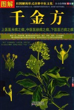 图解千金方 全方位美绘版