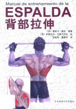 背部拉伸 人体解剖 肌肉锻炼 拉伸练习