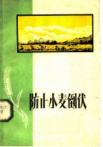 防止小麦倒伏