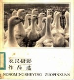 农民摄影作品选