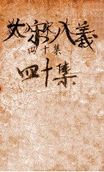 大宋八义 武侠小说 40集