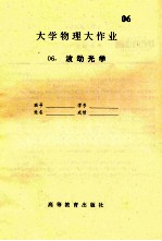 大学物理大作业 6 波动光学