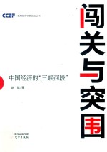 闯关与突围 中国经济的“三峡河段” DFYX