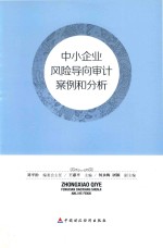 中小企业风险导向审计案例和分析