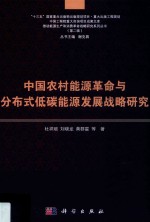 中国农村能源革命与分布式低碳能源发展战略研究