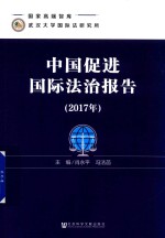 中国促进国际法治报告 2017年