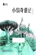 小偷奇遇记