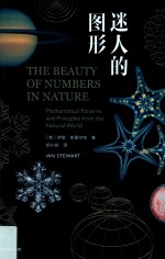 迷人的图形