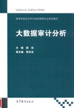 高等学校会计学与财务管理专业系列教材 大数据审计分析