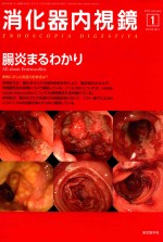 消化器内视镜 VOL.29 NO.1 JANUARY 2017 日文