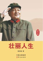 壮丽人生 第2卷