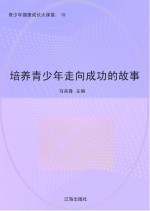 培养青少年走向成功的故事