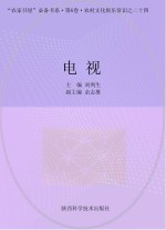 电视