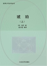 琥珀 上