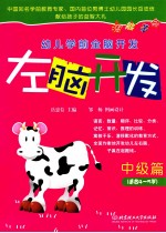 左脑开发 中级篇(适合4-5岁)