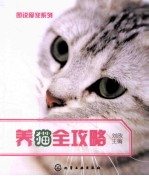 养猫全攻略