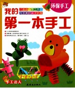 我的第一本手工 环保手工