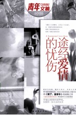 途经爱情的忧伤