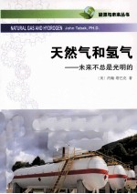 天然气和氢气 未来不总是光明的