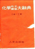 化学化工药物大辞典 第4、5册