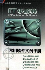 it小词典 常用软件实例手册