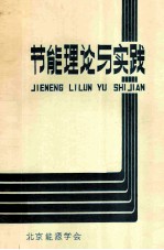 节能理论与实践