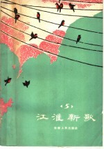 江淮新歌 5