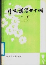 作文模写四十例