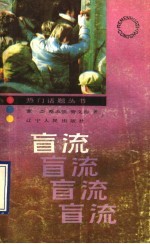 盲流 盲流