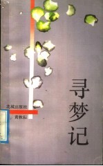 寻梦记