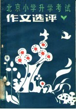 北京小学升学考试作文选评