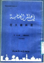 在大森林里