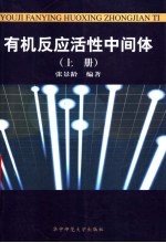 有机反应活性中间体 上 第2版