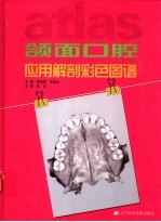 颌面口腔应用解剖彩色图谱 英汉对照
