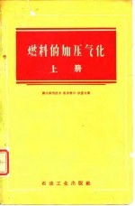 燃料的加压气化 上