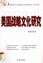美国战略文化研究
