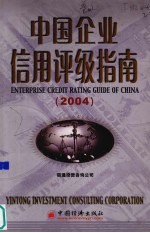 中国企业信用评级指南 2004